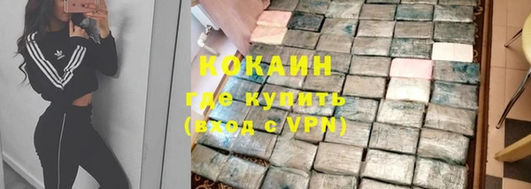 сатива Надым