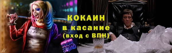 дживик Навашино