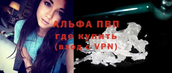 сатива Надым