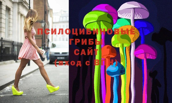 дживик Навашино