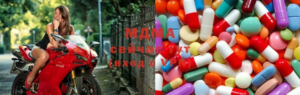сатива Надым