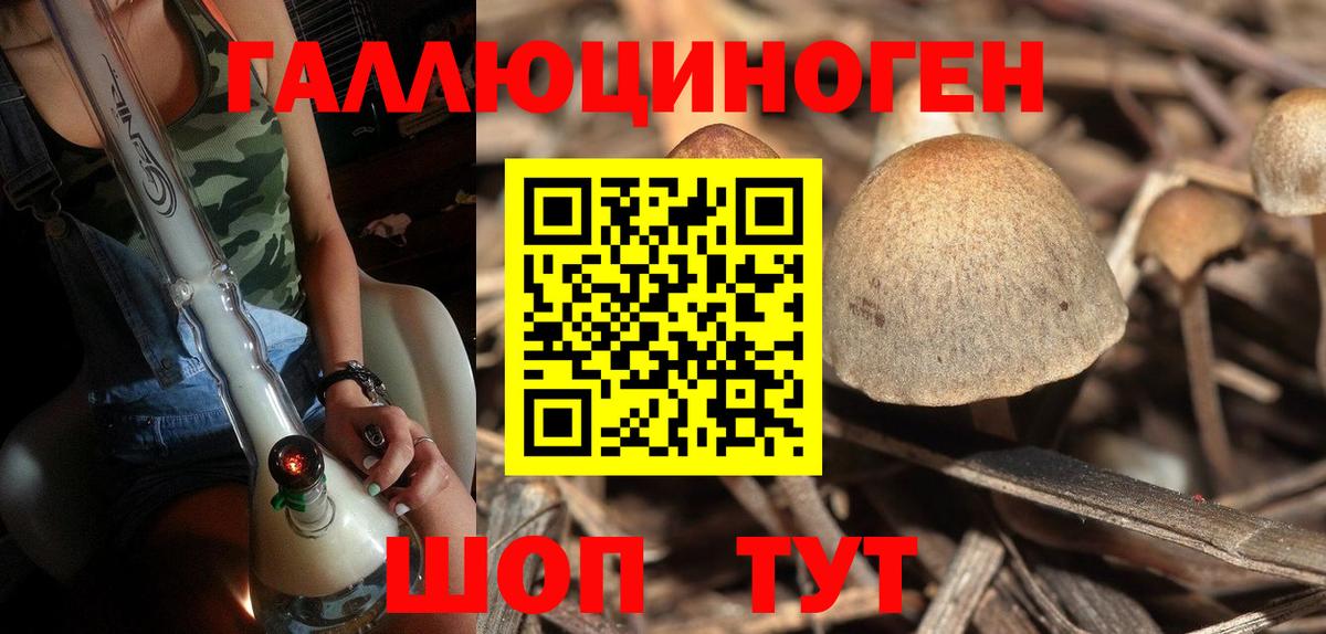 Псилоцибиновые грибы GOLDEN TEACHER Златоуст